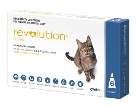 revolution flea medicine for kittens
